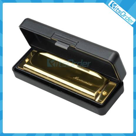 New Swan Key of G 10 Holes 20 Tone Diatonic Harmonica Golden for Student Music Instrument with Case 17000631