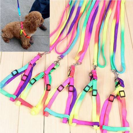 1.2M Rainbow Mascotas Pet Dog Puppy Leash...