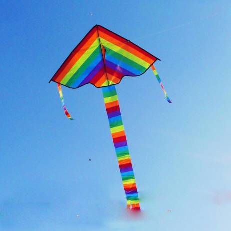 High Quality Rainbow Kite Long Tail Triangle Kite Outdoor Fun Sports Easy To Fly Beach Fun Kit