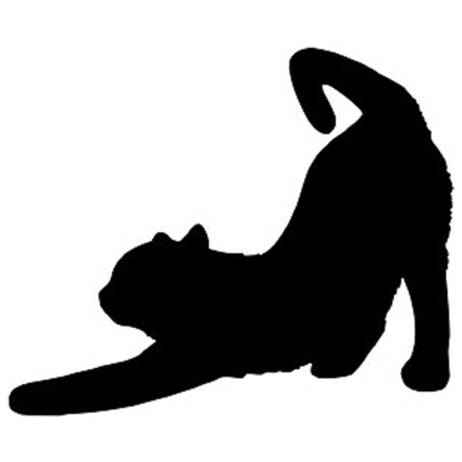 CAT (STRETCHING) car window sticker vinyl decal funny JDM For Laptop And all the smooth surface