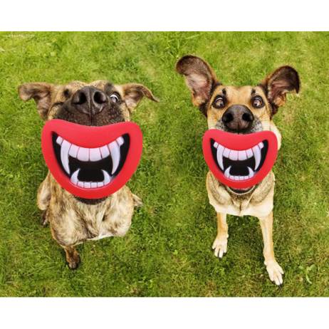 New Durable Safe Funny Squeak Dog Toys Devil's Lip Sound Dog Playing/Chewing Puppy Make The Dog Happy