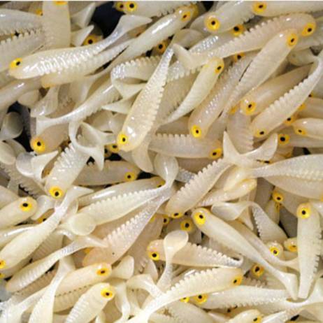 20pcs/lot Silicone fish shaped fishing Artificial lure bait 5cm soft Silicone Tiddler Bait fishing lure
