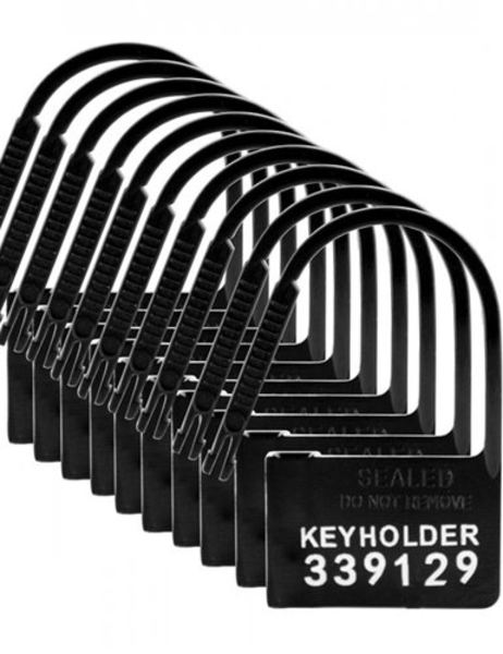 keyholder-kuisheidskooi-hangslotjes-10-stuks(1195)