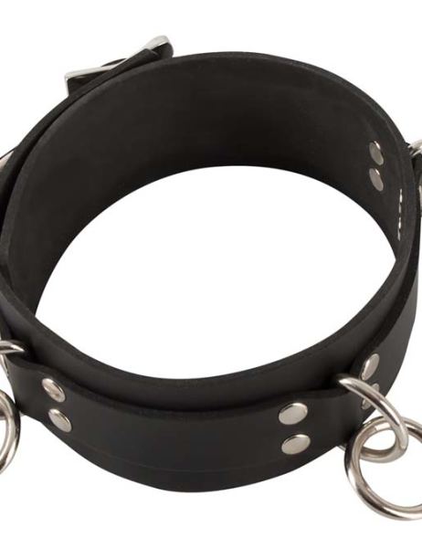 latex-halsband-(3596)