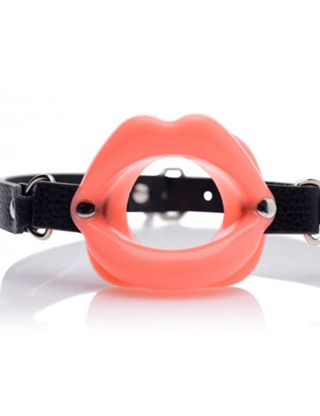 sissy-mond-gag(2295)