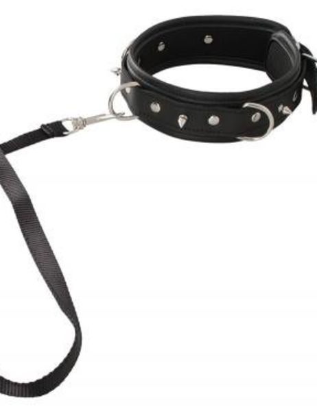 vegan-halsband-met-lijn(2895)