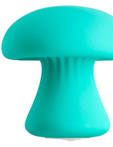 mushroom-massager-groenblauw(3995)