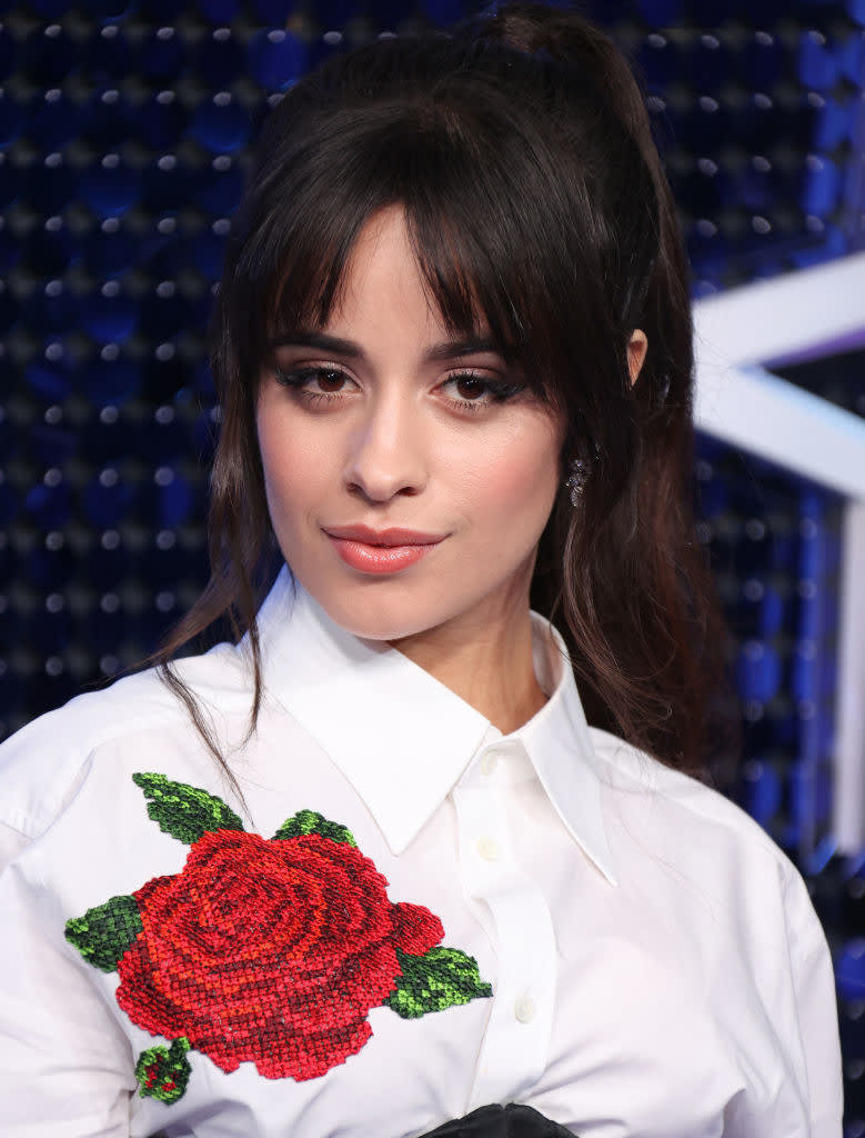 Camila on the red carpet