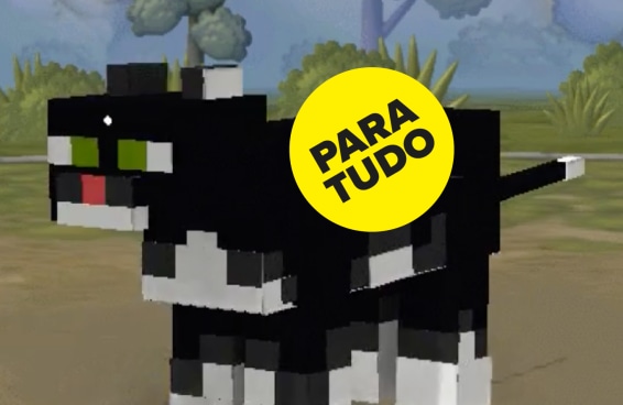 Escolha nomes para gatinhos do Minecraft