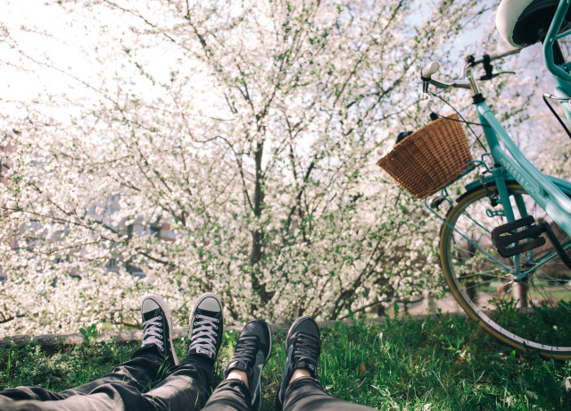 two person lying on grass near teal city bike