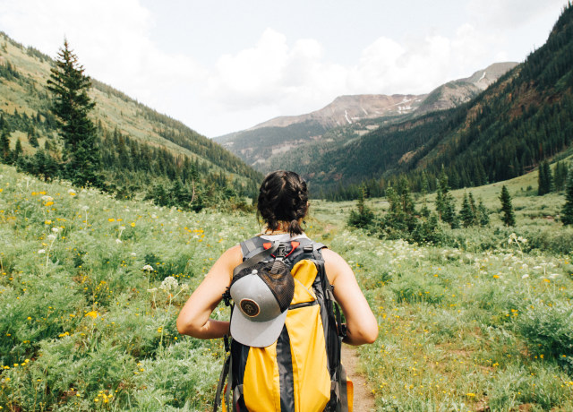 person carrying yellow and black backpack walking between green plants