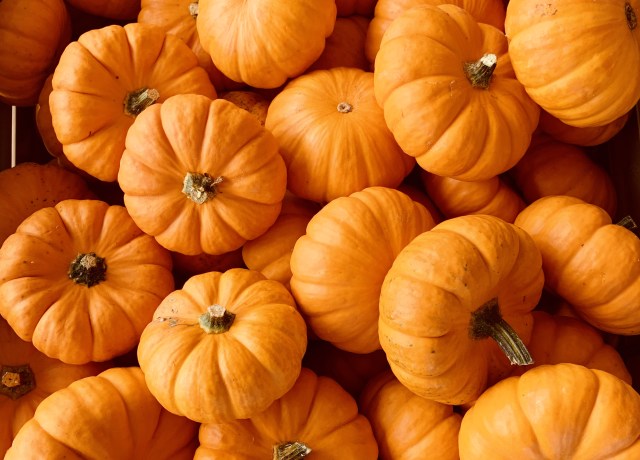 ile of orange pumpkins