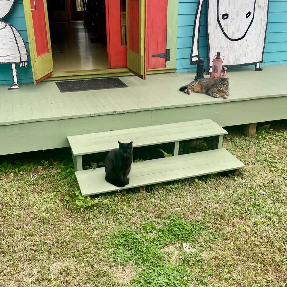 shadow and buddy tolerate each other on the porch, studiously looking away from each other
