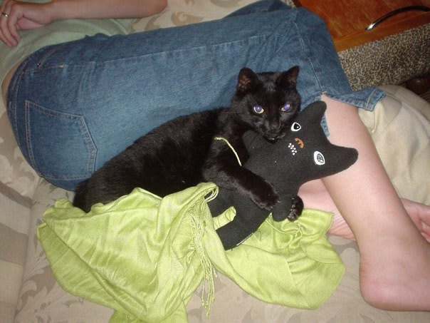 Betty with her black cat toy