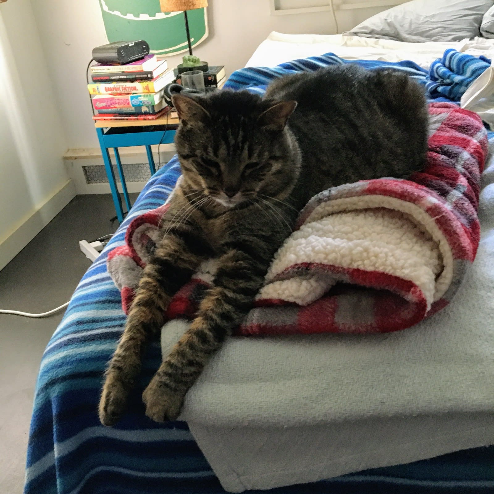 Hot legs Buddy hanging his legs off the bed Hot legs Buddy hanging his legs off the bed