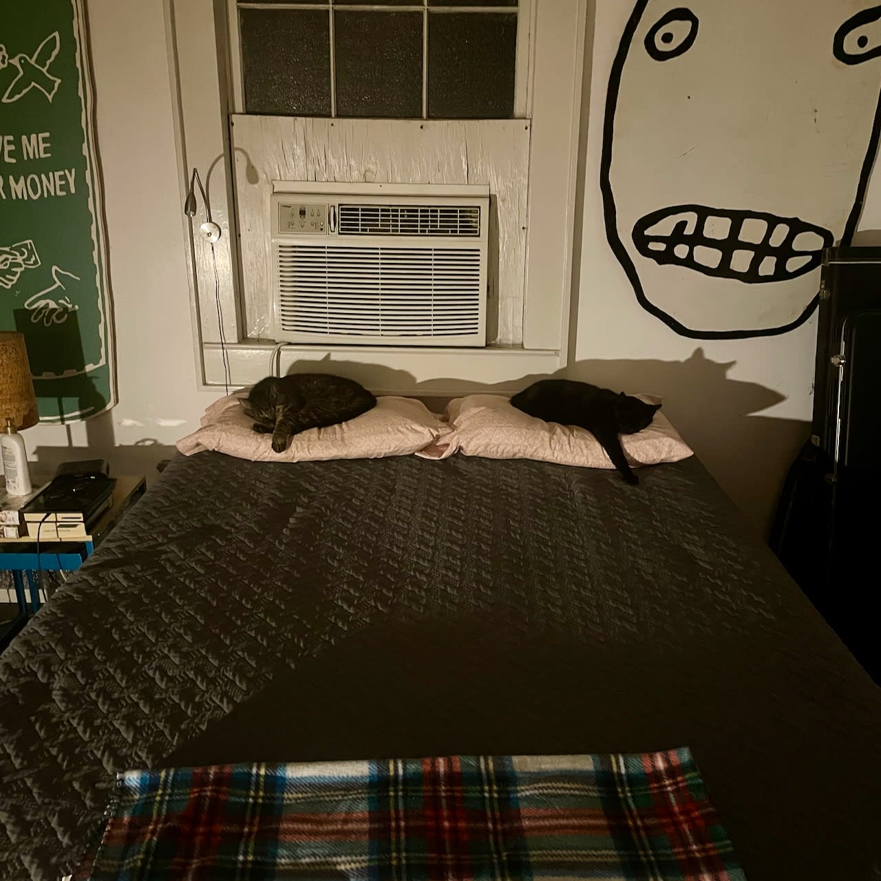 My cats Shadow and Buddy each sleeping on one of my pillows.