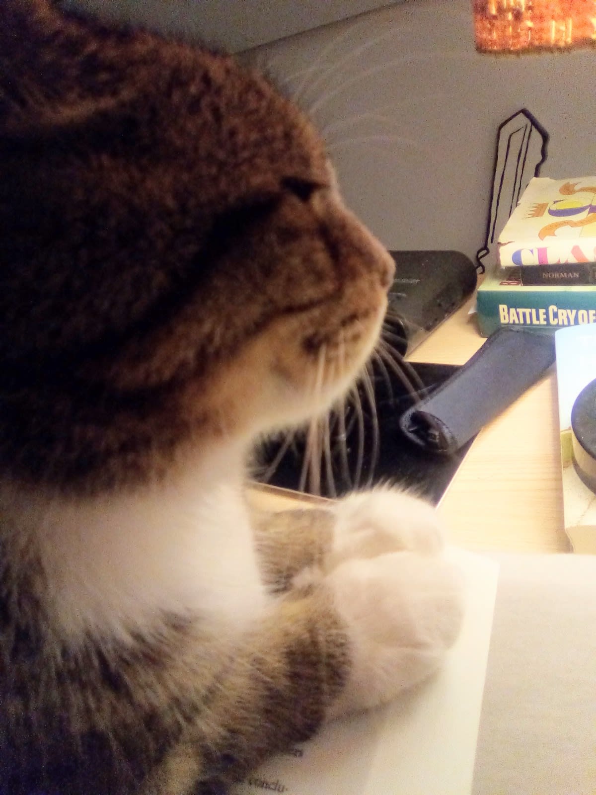 Sally with books