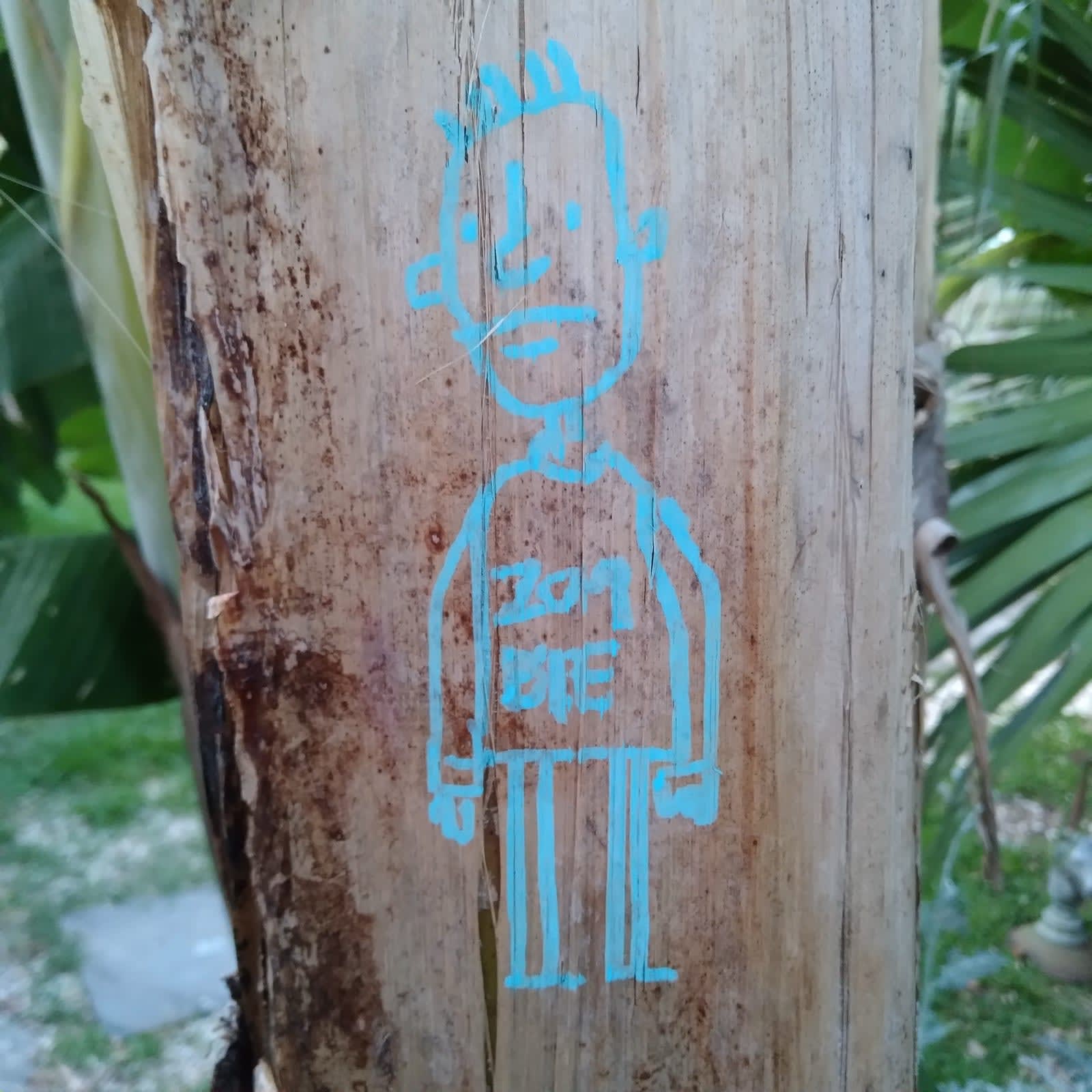 Doodle on a banana tree by David Rhoden, 2021.