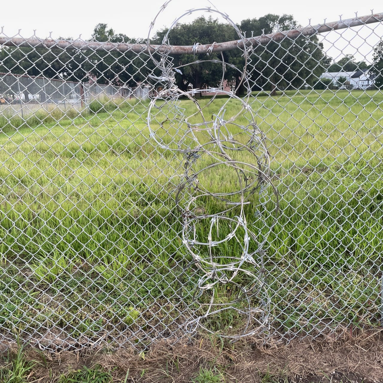 I took a walk in the Lower Ninth Ward.