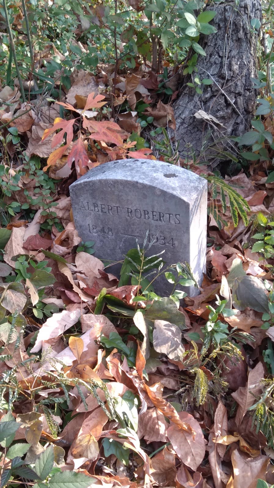 Albert Roberts grave. Buck Knob Cemetery, Dartmouth Street, Chattanooga, Tennessee.