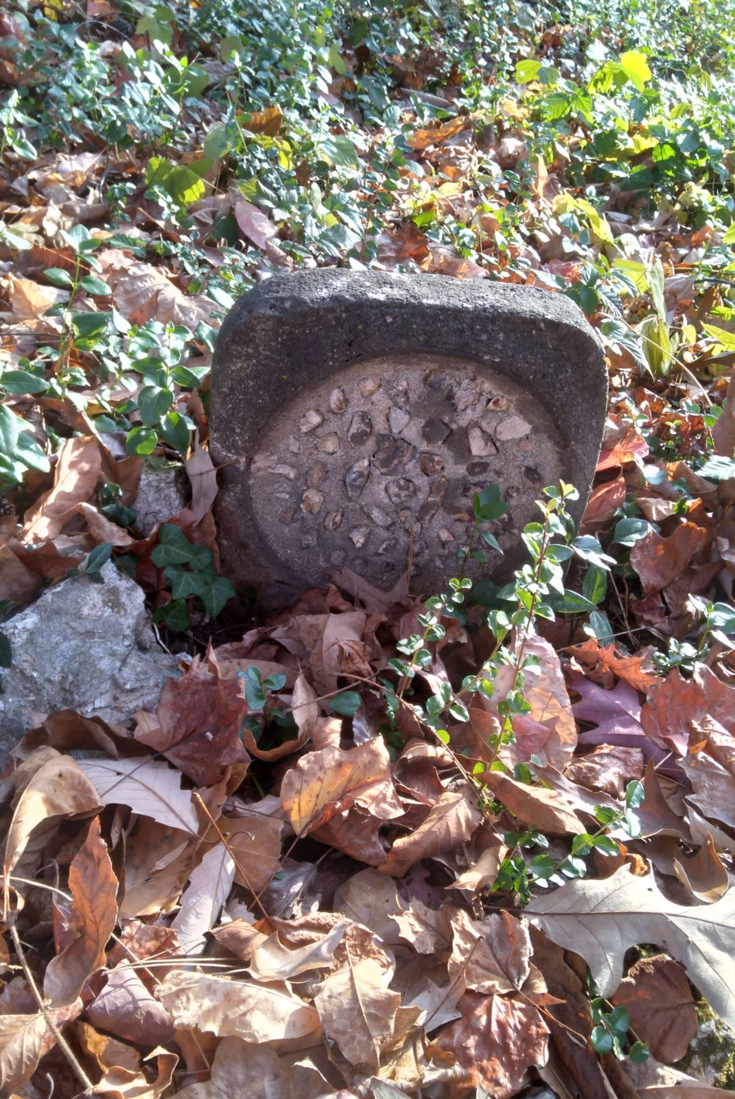 Strange gravestone. Buck Knob Cemetery, Dartmouth Street, Chattanooga, Tennessee.