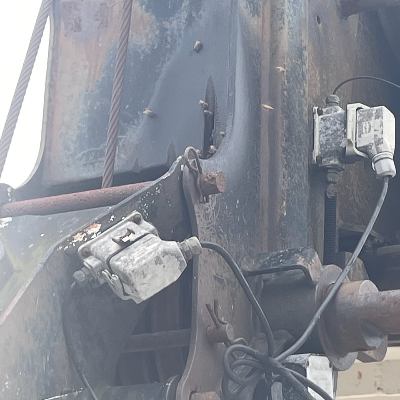 Crane with beehive in the boom head, close-up