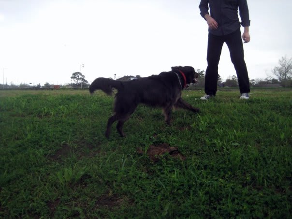 walked on the levee with Rosa