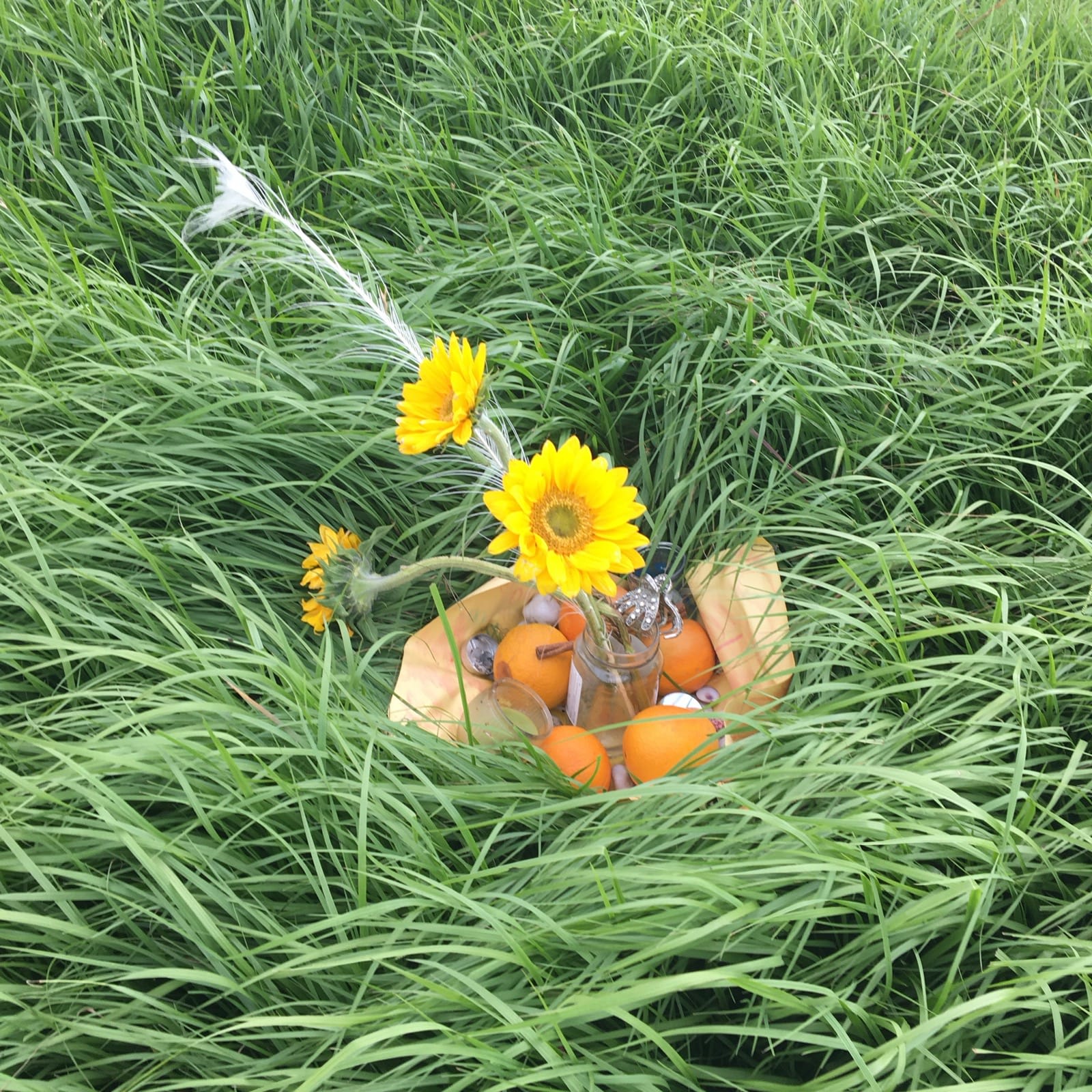 levee offering seen June 14, 2020 levee offering seen June 14, 2020