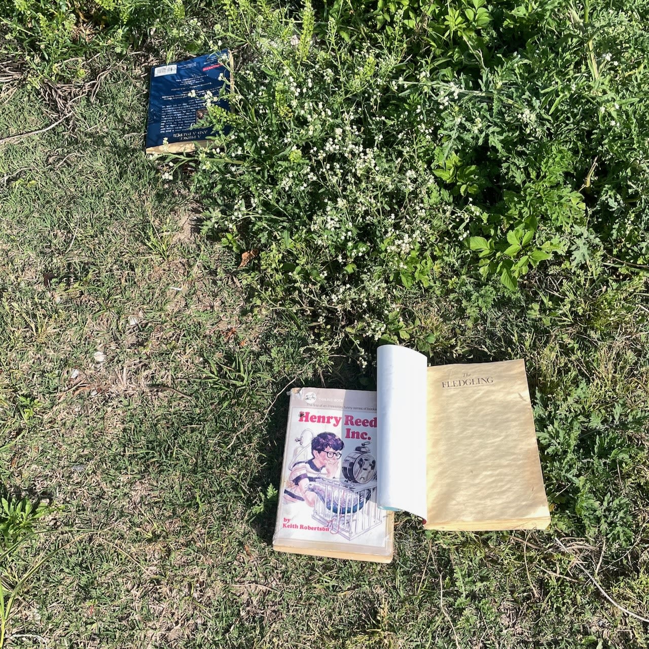 I found some lost or thrown-away books on the bank of the Industrial Canal.