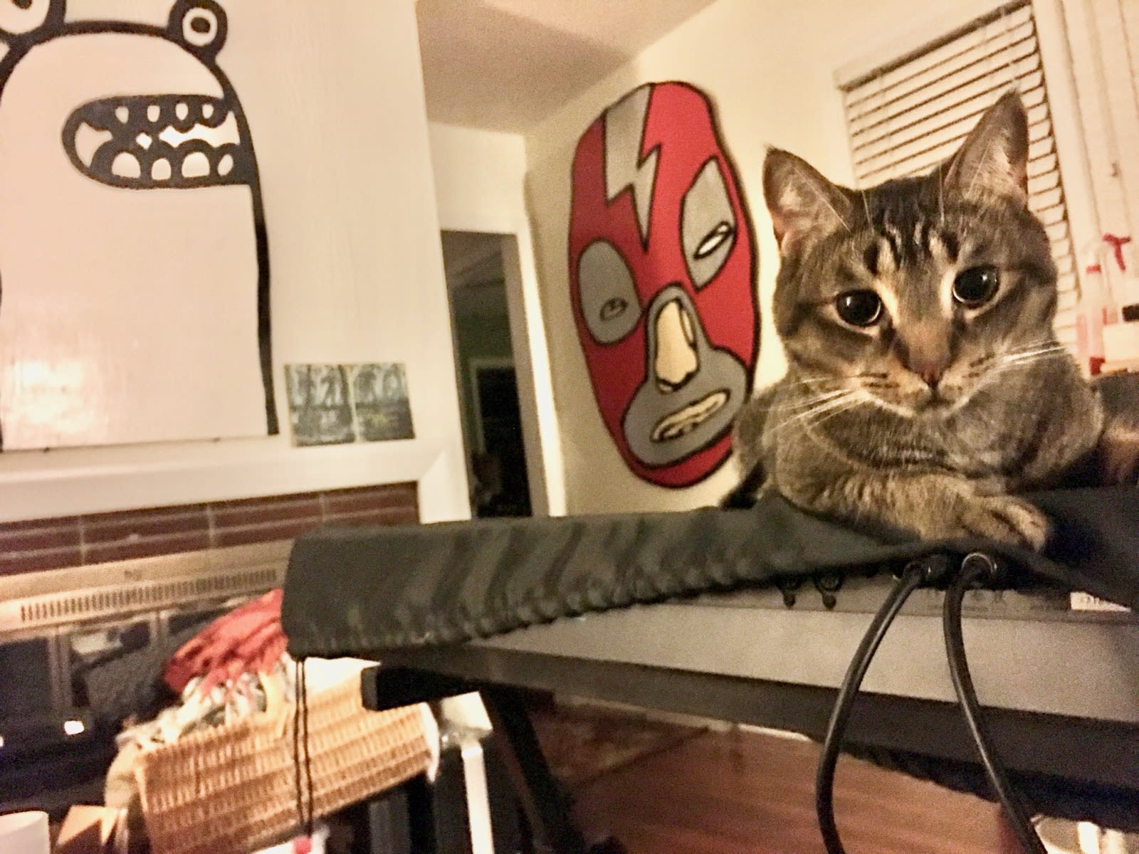 Meeko, the cat who owns my art. Meeko, the cat who owns my art.
