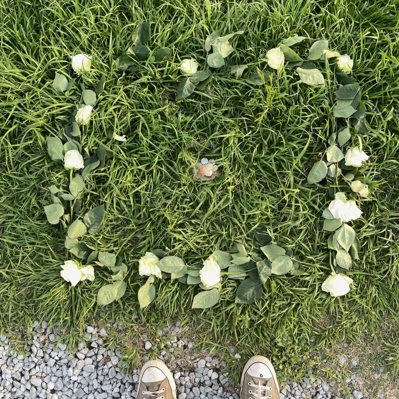 I saw someone’s offering on the levee.