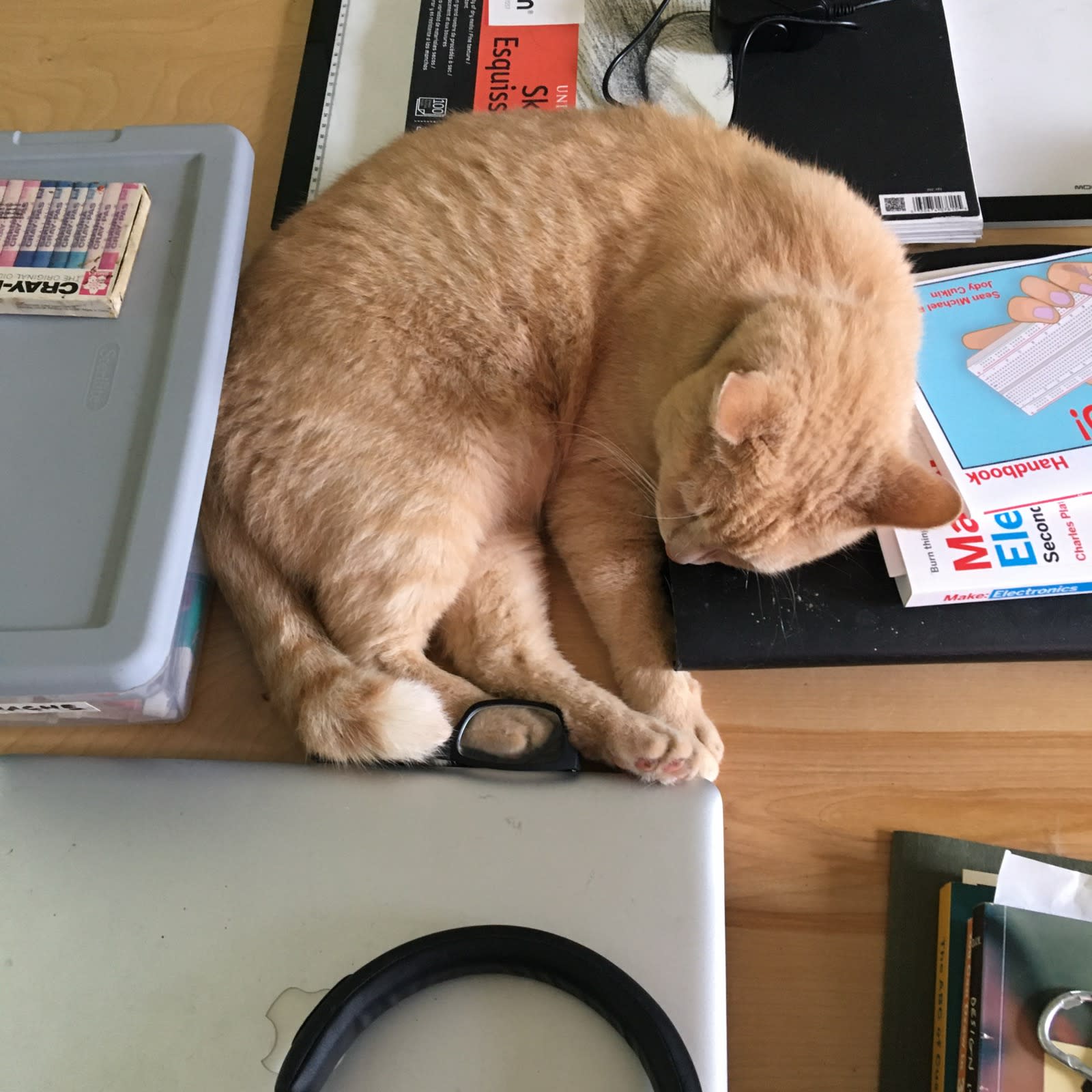 Otter came over for a nap on my work table. Otter came over for a nap on my work table.