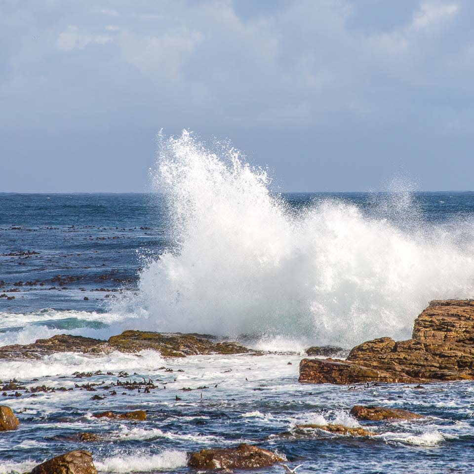 Nemme løsninger til afløbet