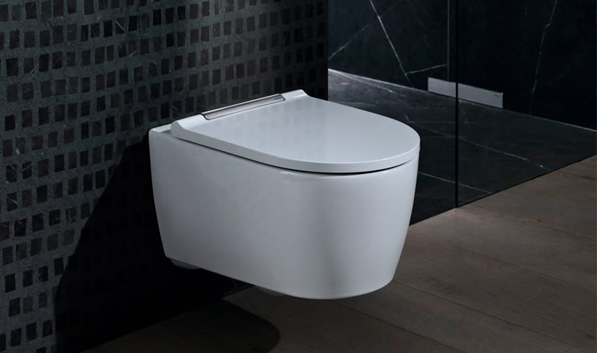 bvvs_geberit_vghngt-toilet_852x505