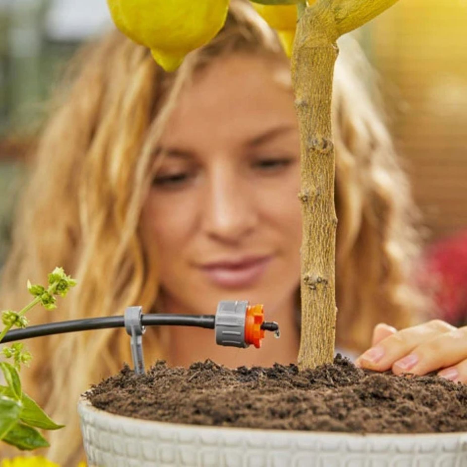 Hvordan fungerer dryppvanning?