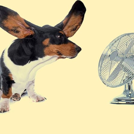 Guide til ventilation i dit badeværelse