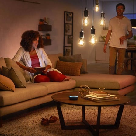Stemmestyring af Philips Hue