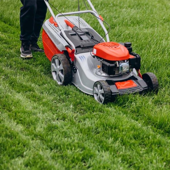 Pleje af græsplæne: Sådan får du en flot have