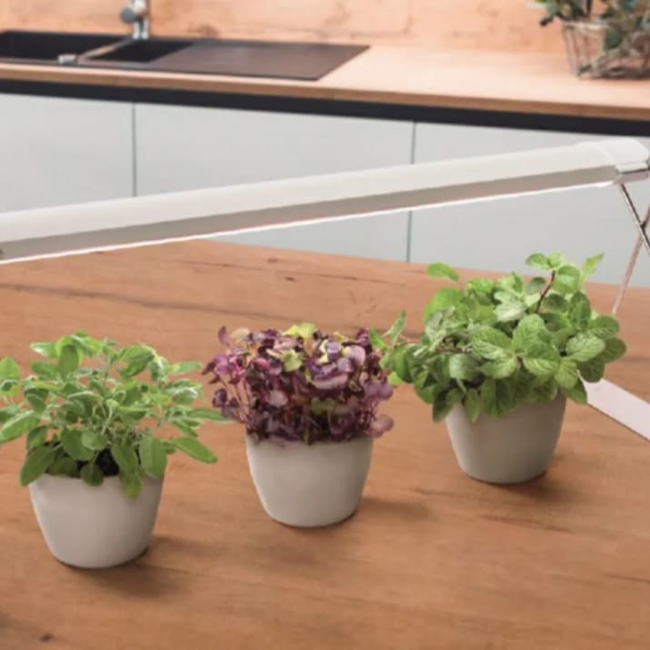 Indendørs vækstlamper/plantelys