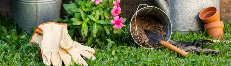 Forårsklargøring af haven