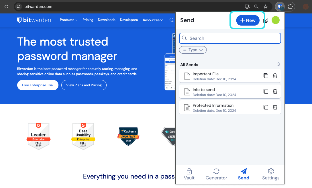 Send view in a browser extension