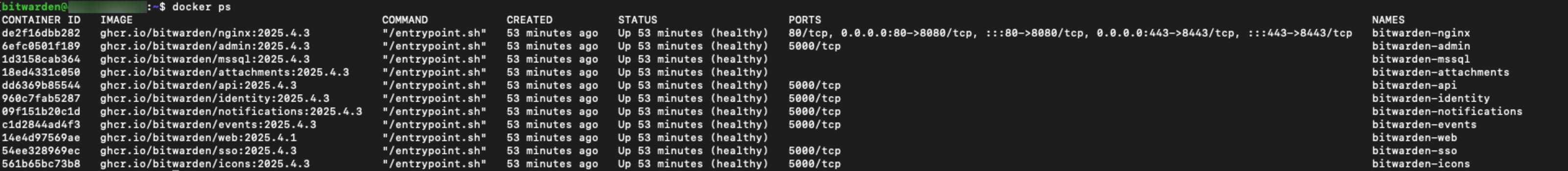 docker-healthy.png