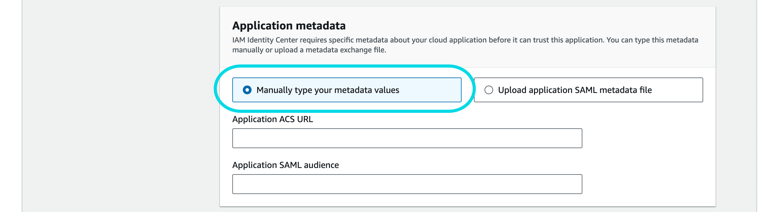 Enter metadata values 