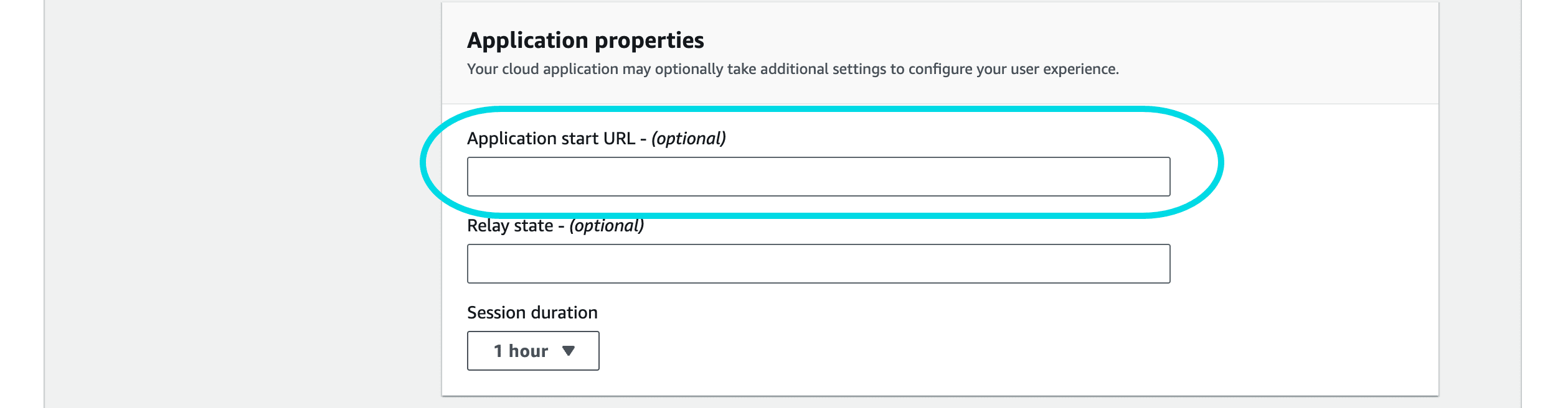 IAM Identity Center application properties