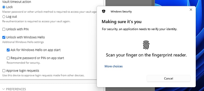 Windows Hello prompt