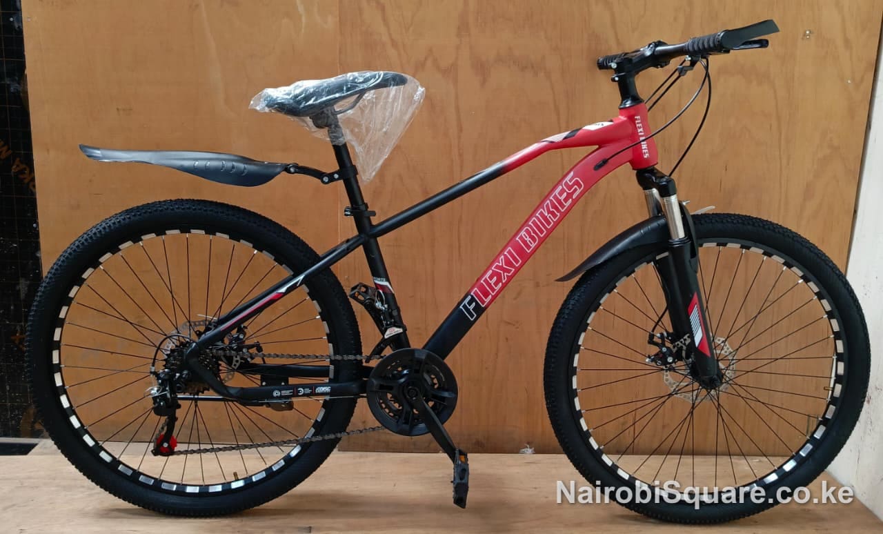Size 24 Mountain Bike