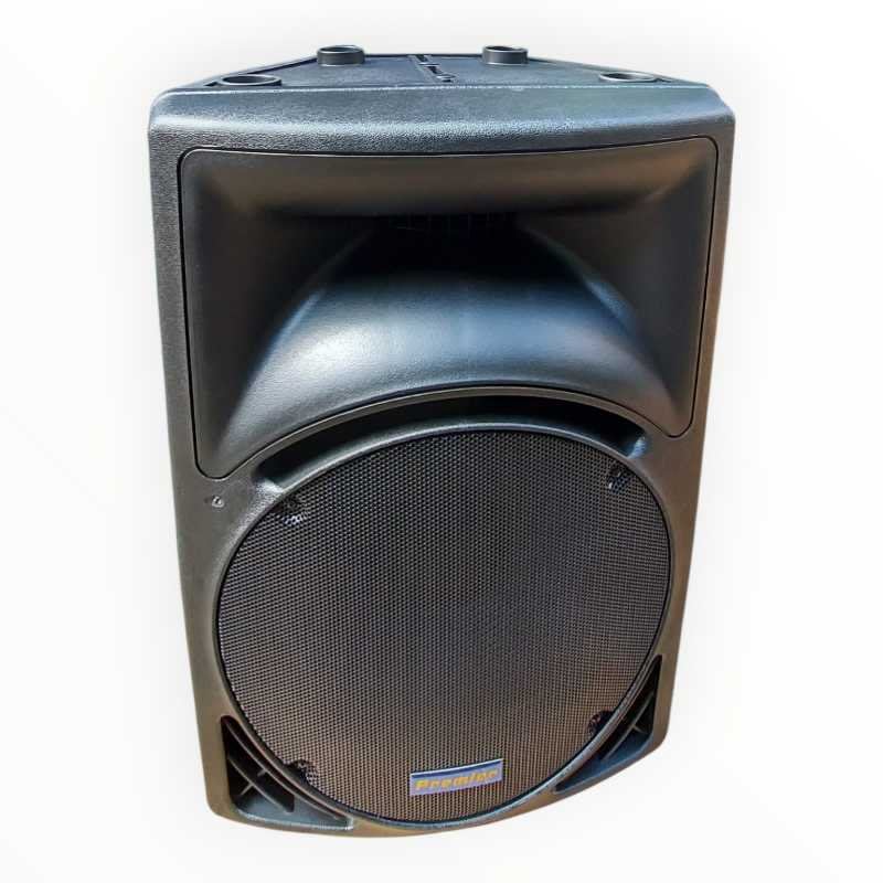 Premier PM1502 15-Inch Speaker