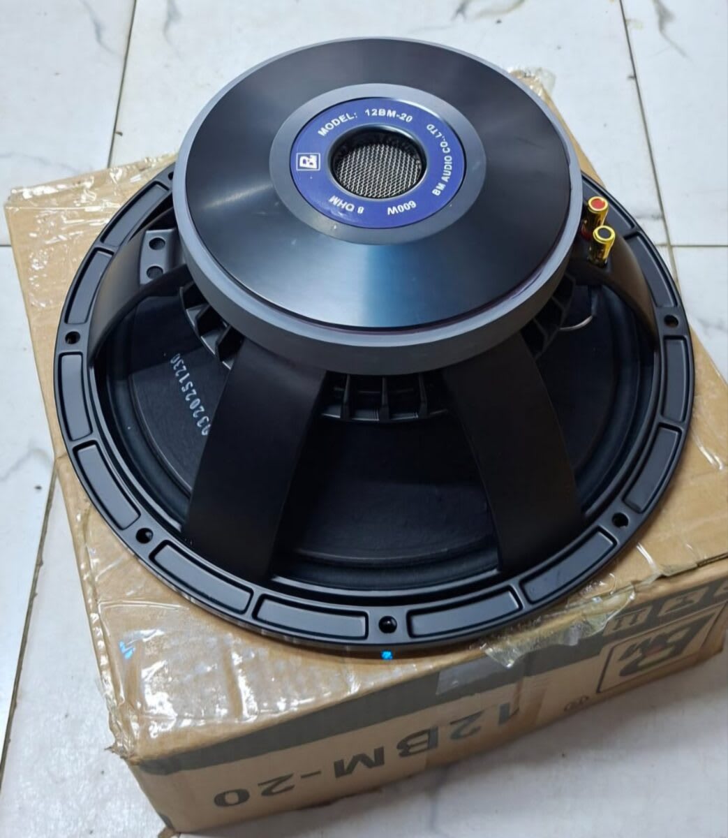 Bm az20 12inch naked speaker 600w