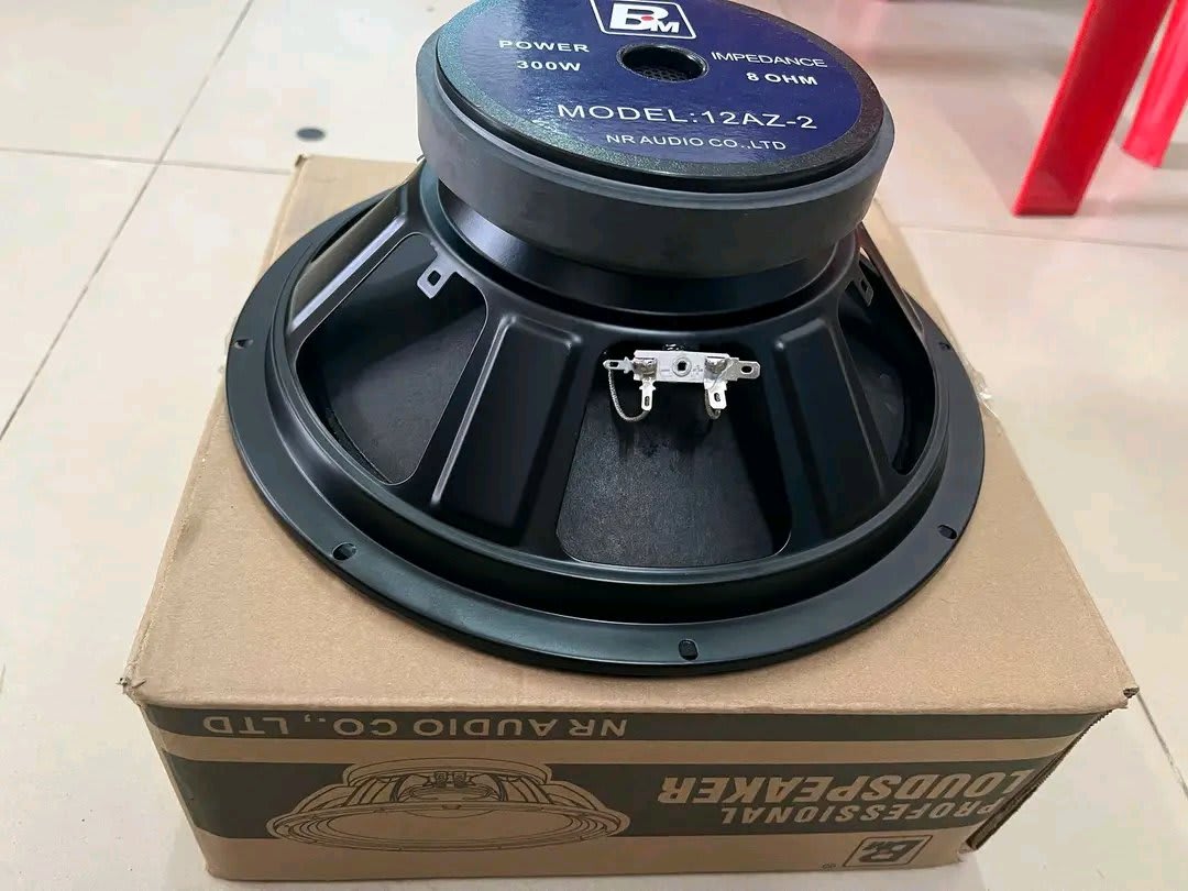BM 12AZ-2 Professional 12 Inch Loudspeaker Driver