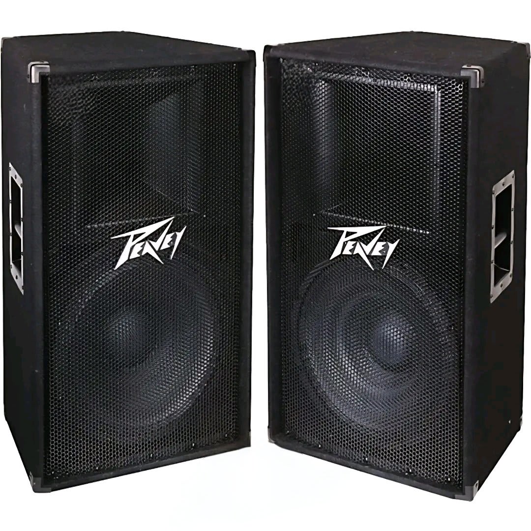 Peavey PV 115 15-Inch 2-Way Passive PA Speakers (Pair)